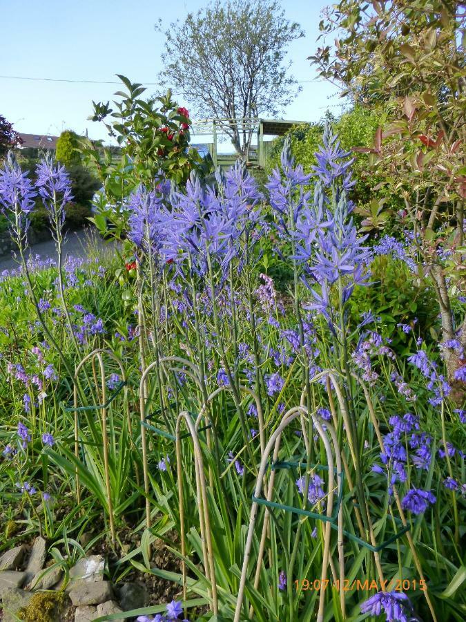 Bratton View Bed And Breakfast Barnstaple Buitenkant foto